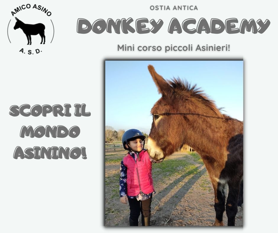 Attivita con l'asino - donkey academy