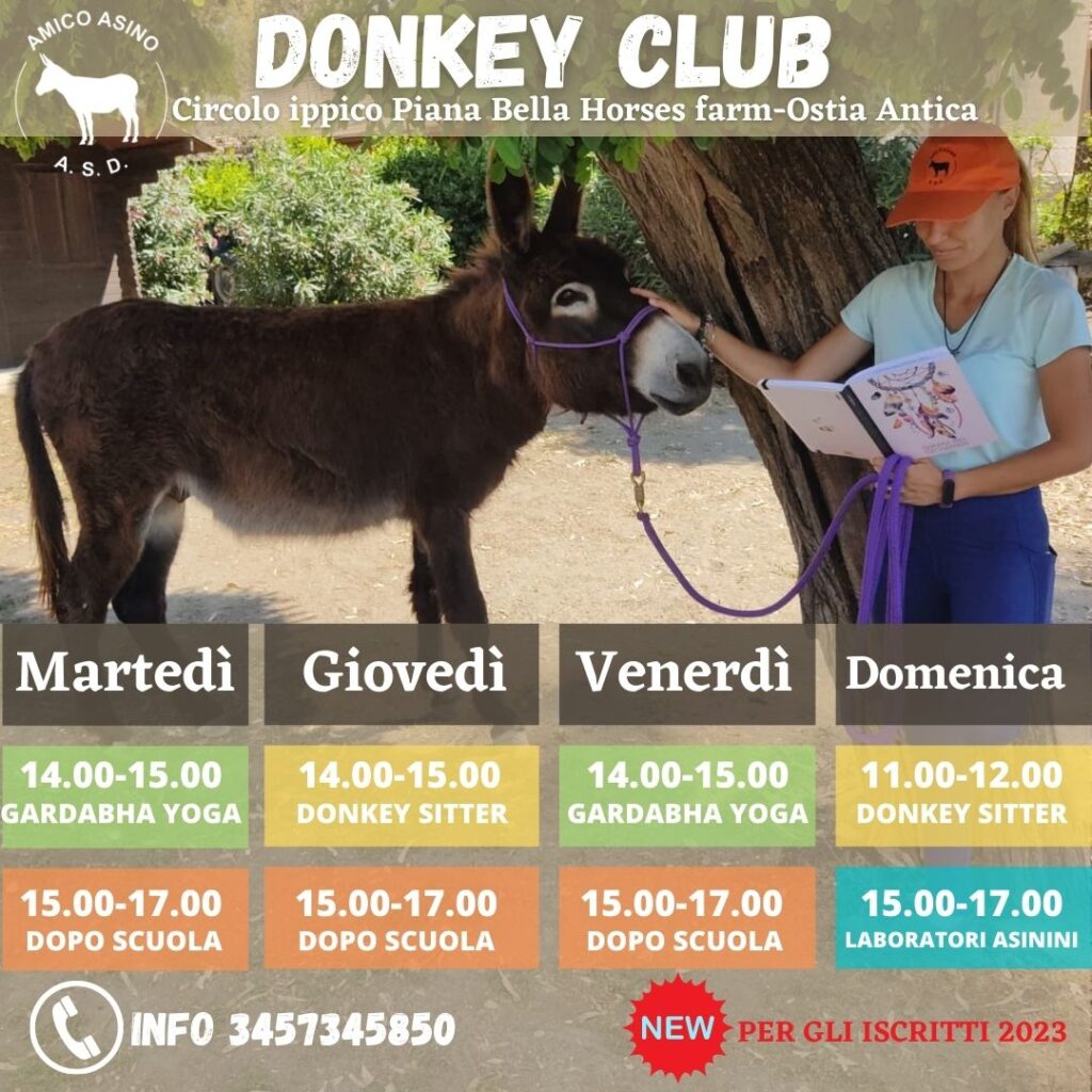 Amico Asino - Donkey Club